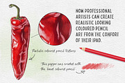 Coloured Pencil Artist - Procreate, a Brush Add-On by SketchWerx (Thumbnail 4 of 11)
