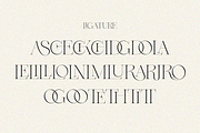 Dary, a Serif Font by zaaintype (Thumbnail 6 of 10)