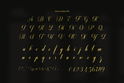 Bellvania Calligraphy Script Font, a Script Font by Graphicxell (Thumbnail 8 of 8)