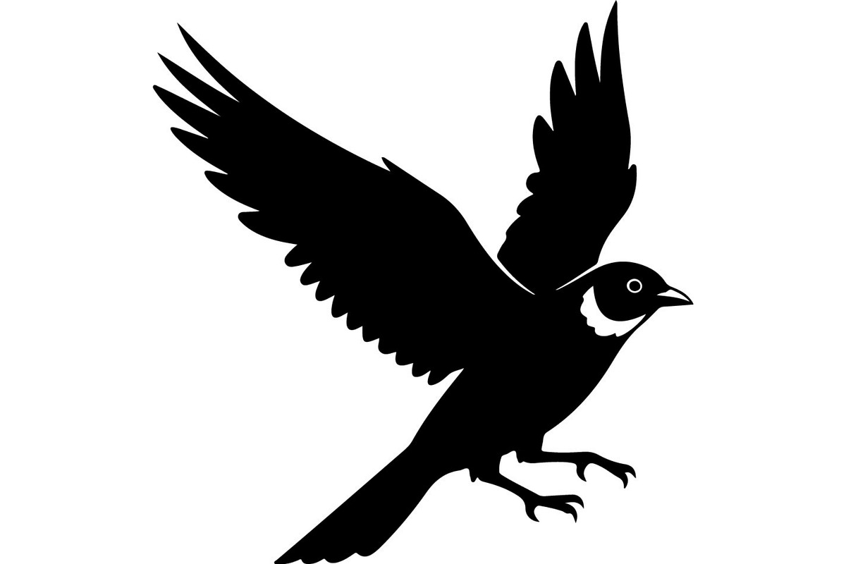 Bird Silhouettes Flying Sideways, an Animal Illustration by Designer_Momina (Photo 3 of 21)