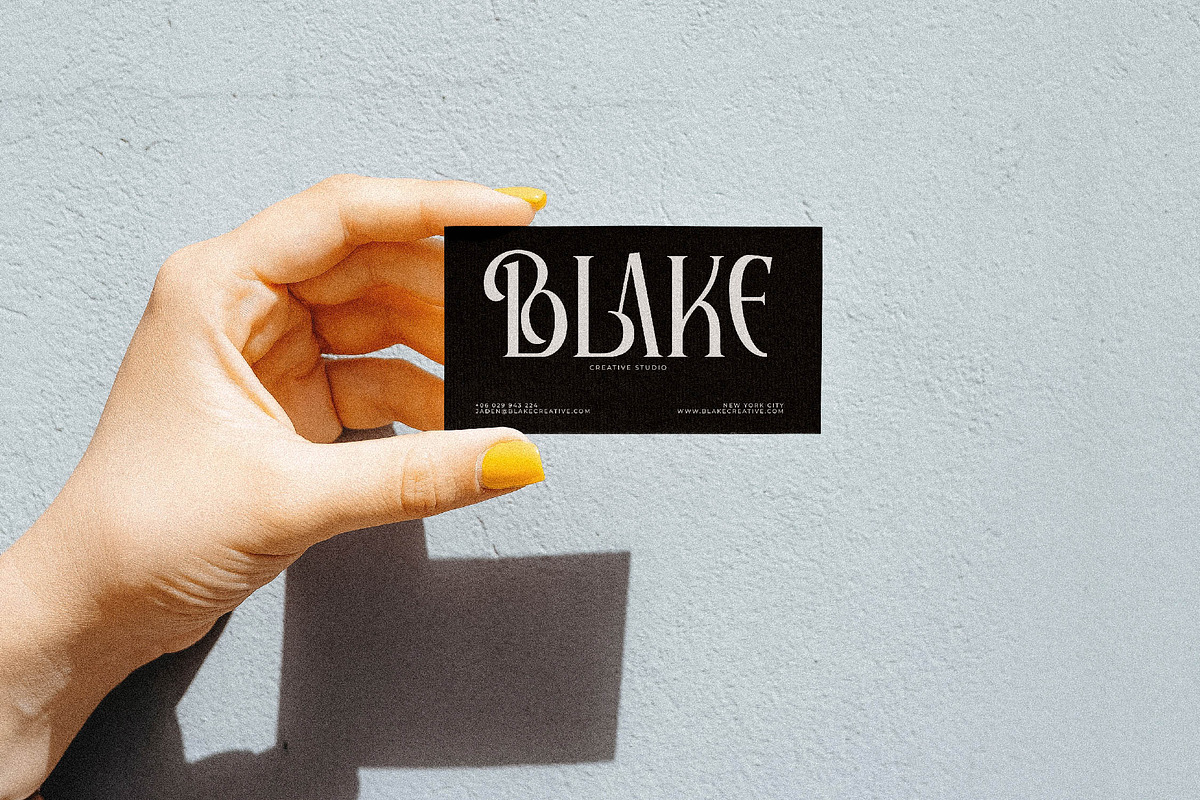 Elaphoras Display Serif Font, a Sans Serif Font by Storytype Studio (Photo 10 of 18)