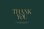 Hillant - Elegant Condensed Serif, a Serif Font by Dikas Studio (Thumbnail 9 of 9)