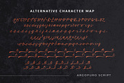 Argopuro Script Font, a Script Font by Fontruly (Thumbnail 4 of 9)