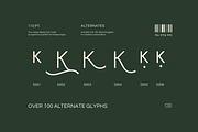 Minimalist - Modern Font, a Sans Serif Font by Luna Shop (Thumbnail 9 of 14)