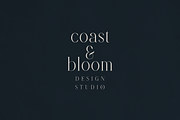 Revolto – Elegant Display Serif Font, a Serif Font by Only Fonts (Thumbnail 3 of 11)
