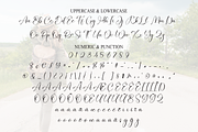 Awayday | Script Font, a Handwritten Font by Scratchones (Thumbnail 7 of 9)