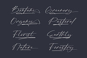 Brington Australi Stylish Signature, a Script Font by stylishtype.co (Thumbnail 7 of 20)