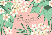 Alba Tropicale | Vector patterns set, a Pattern Graphic by Tanya Vollar (Thumbnail 1 of 11)