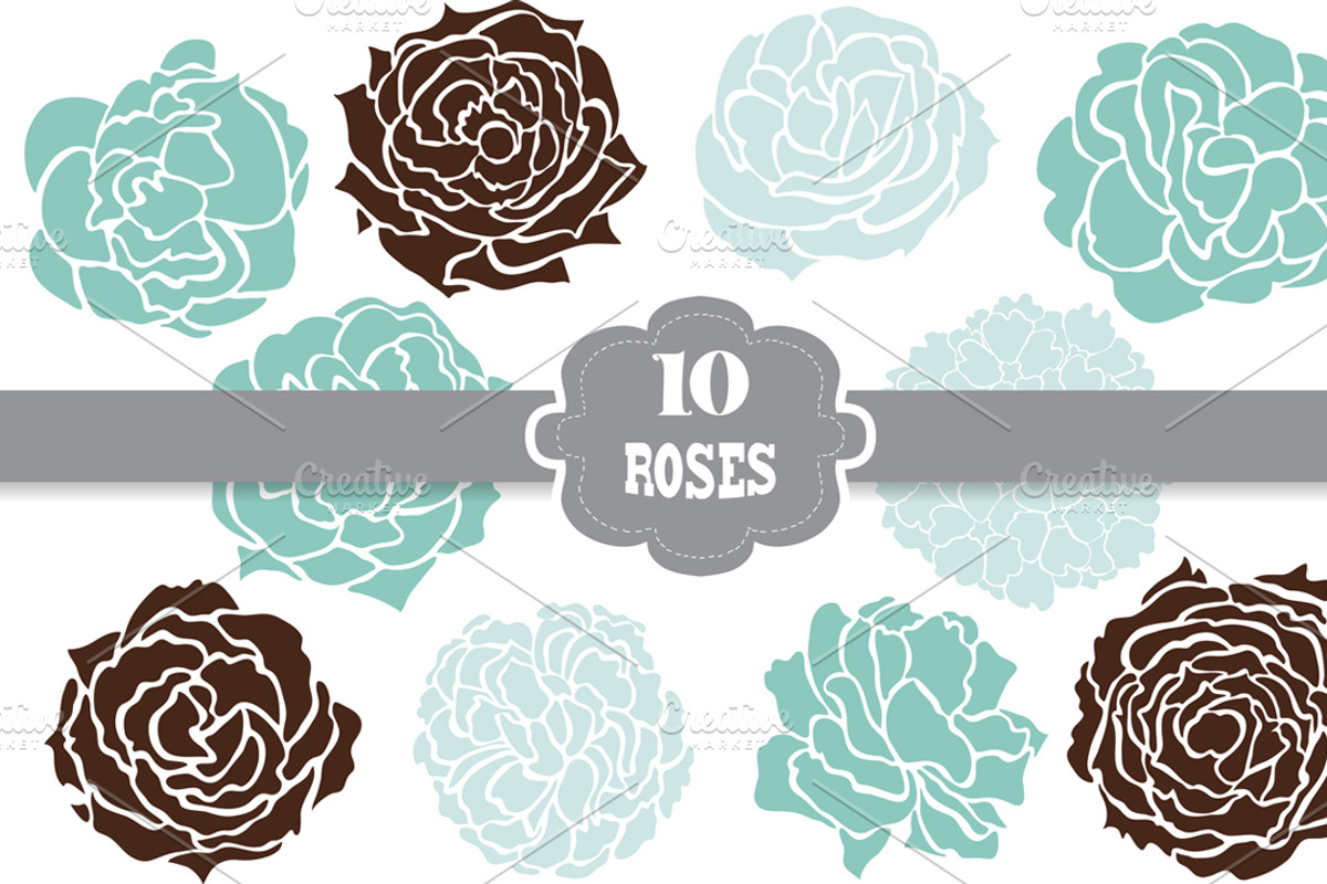 10 Decorative Roses