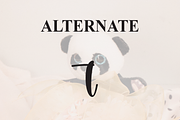 Rustic Panda | Script Font, a Handwritten Font by Scratchones (Thumbnail 8 of 9)