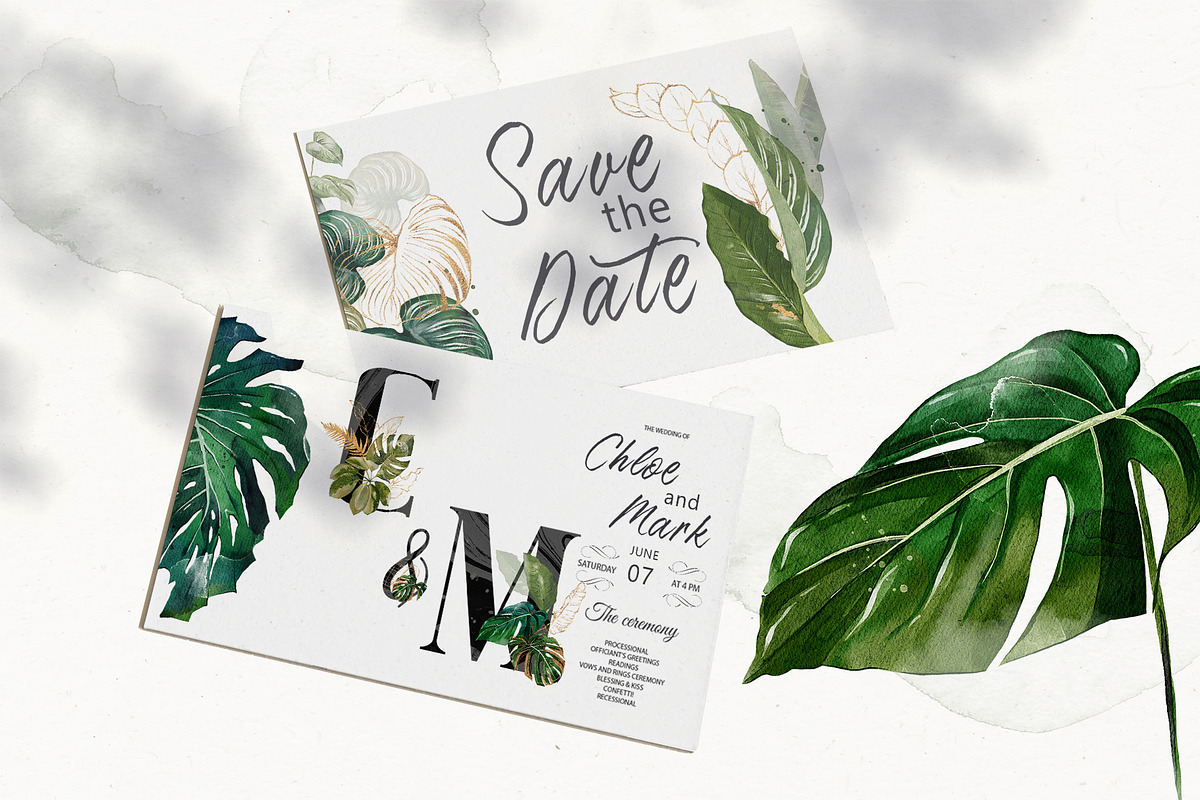 Watercolor Tropical Leaves, a Decorative Illustration by Damian Roh (Photo 13 of 19)