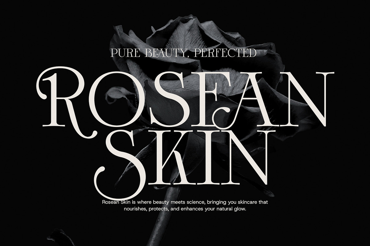Monna Minimalist Serif Font, a Serif Font by Graphicxell (Photo 5 of 8)