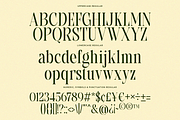 Grevila - Condensed Serif Font, a Serif Font by Say Studio (Thumbnail 9 of 10)