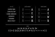 Vicente Font Family, a Font by Stable (Thumbnail 4 of 10)