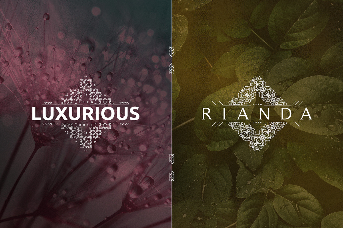 [Spring Vibes] 40 Mosaic Logos -50%, a Branding & Logo Template by VP Fonts (Photo 7 of 27)