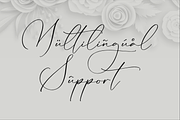 Lillywhite A Beautiful Script Font, a Script Font by Storytype Studio (Thumbnail 12 of 15)