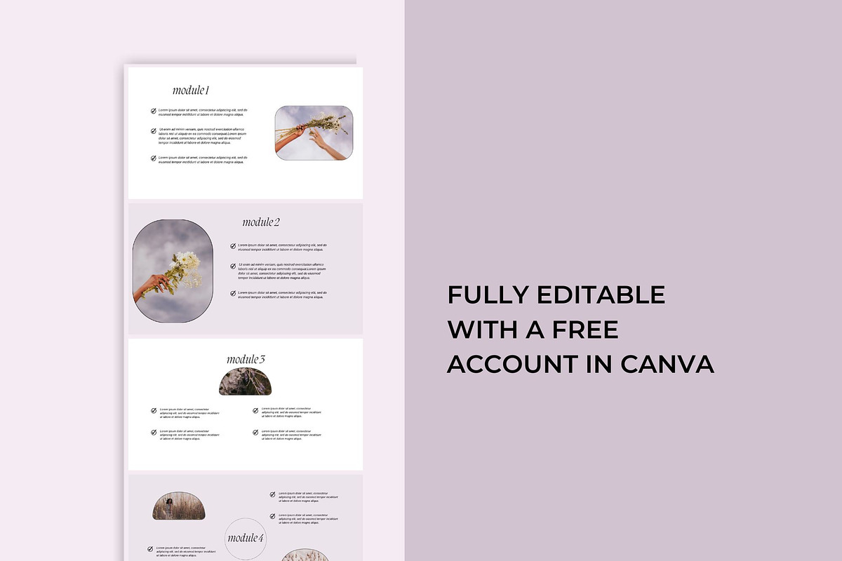 Canva Sales Page Template, a Landing Page Template by Deepa Template Studio (Photo 7 of 10)