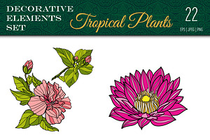 Tropical Plants Set