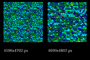 Sequins seamless patterns., a Pattern Graphic by Ajuga (Thumbnail 3 of 5)