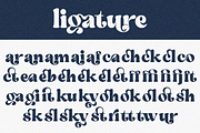 Gary, a Serif Font by zaaintype (Thumbnail 2 of 10)
