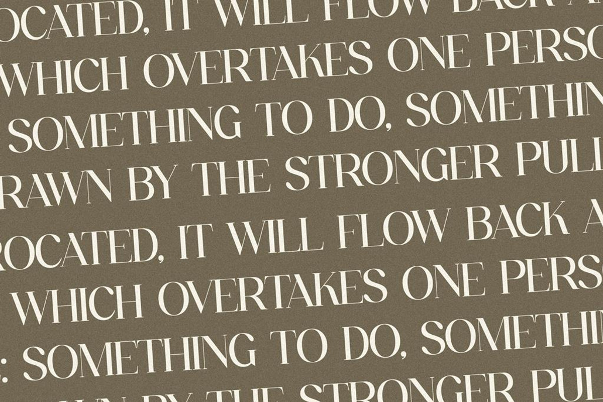 Fanlste Ligature Typeface Font, a Serif Font by Storytype Studio (Photo 6 of 13)