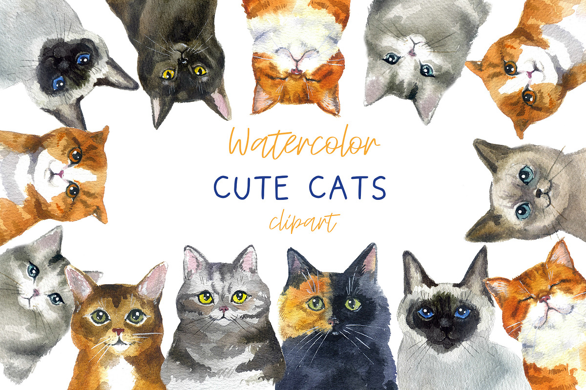 Watercolor Clipart. Cat Clipart png, an Object Graphic by KomtsyanTatyanaArt (Photo 1 of 4)