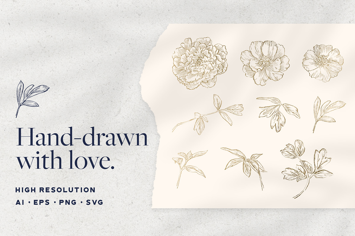 Illustrated Peonies, a Decorative Illustration by Yung (Photo 3 of 5)