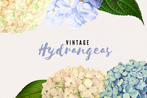 Vintage Watercolor Hydrangeas