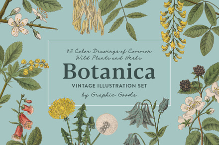 Botanica - Vintage Illustrations