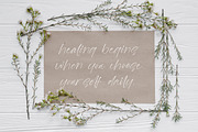 Rusttesa Freshlis, a Handwritten Font by operatype.co (Thumbnail 10 of 15)