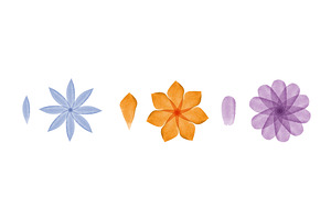 Watercolor flower petals and various, an Object Illustration by okskukuruza