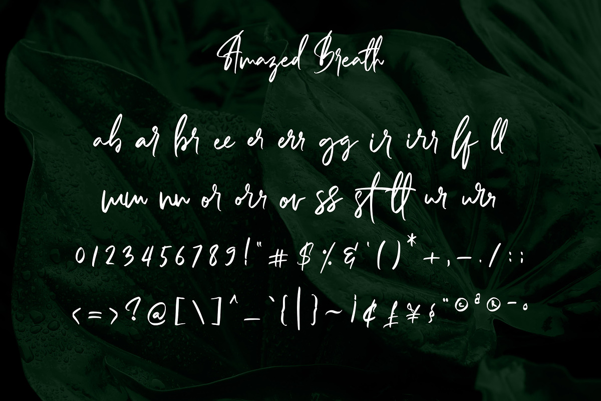 Amazed Breath, a Script Font by Almarkhatype (Photo 12 of 15)