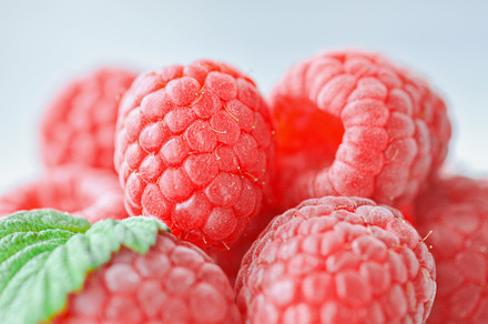 Close up of fresh raspberries., a Food & Drink Photo by Galiyah Assan