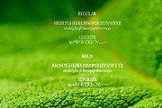 Sweet Basil, a Serif Font by Blissberry Design (Thumbnail 8 of 8)