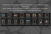 Trick or Treat Halloween Dog Photo, a Holiday Photo by Animalistica (Thumbnail 4 of 4)