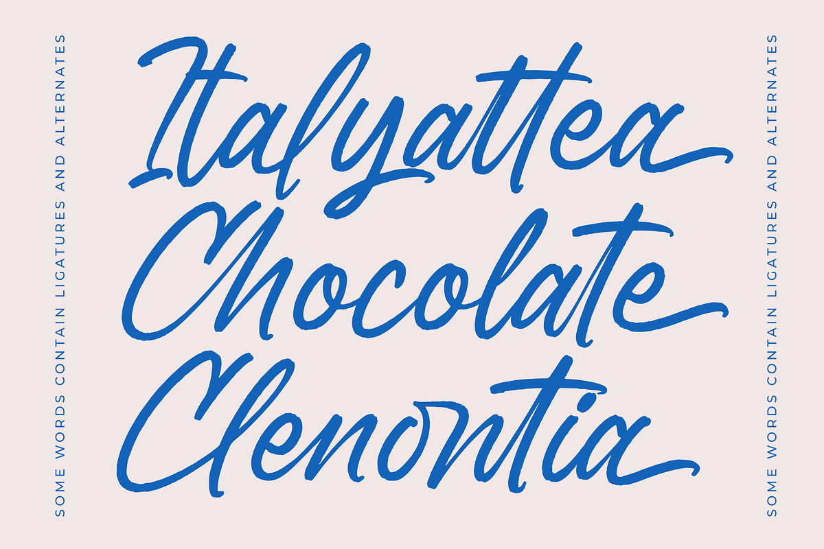 Bostony Kintens Bold Brush Font, a Script Font by Letterena Studios Script (Photo 11 of 20)