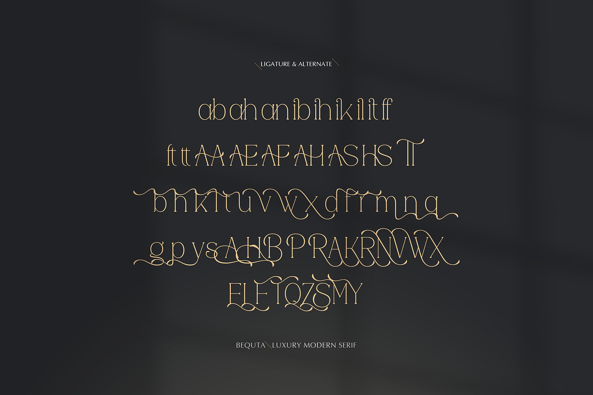 Bequta | Luxury Modern Serif, a Serif Font by gracetype_studio (Photo 11 of 12)