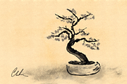 50 Sumi Brush Pack-Photoshop Brushes, a Brush Add-On by Photohacklovers (Thumbnail 6 of 11)