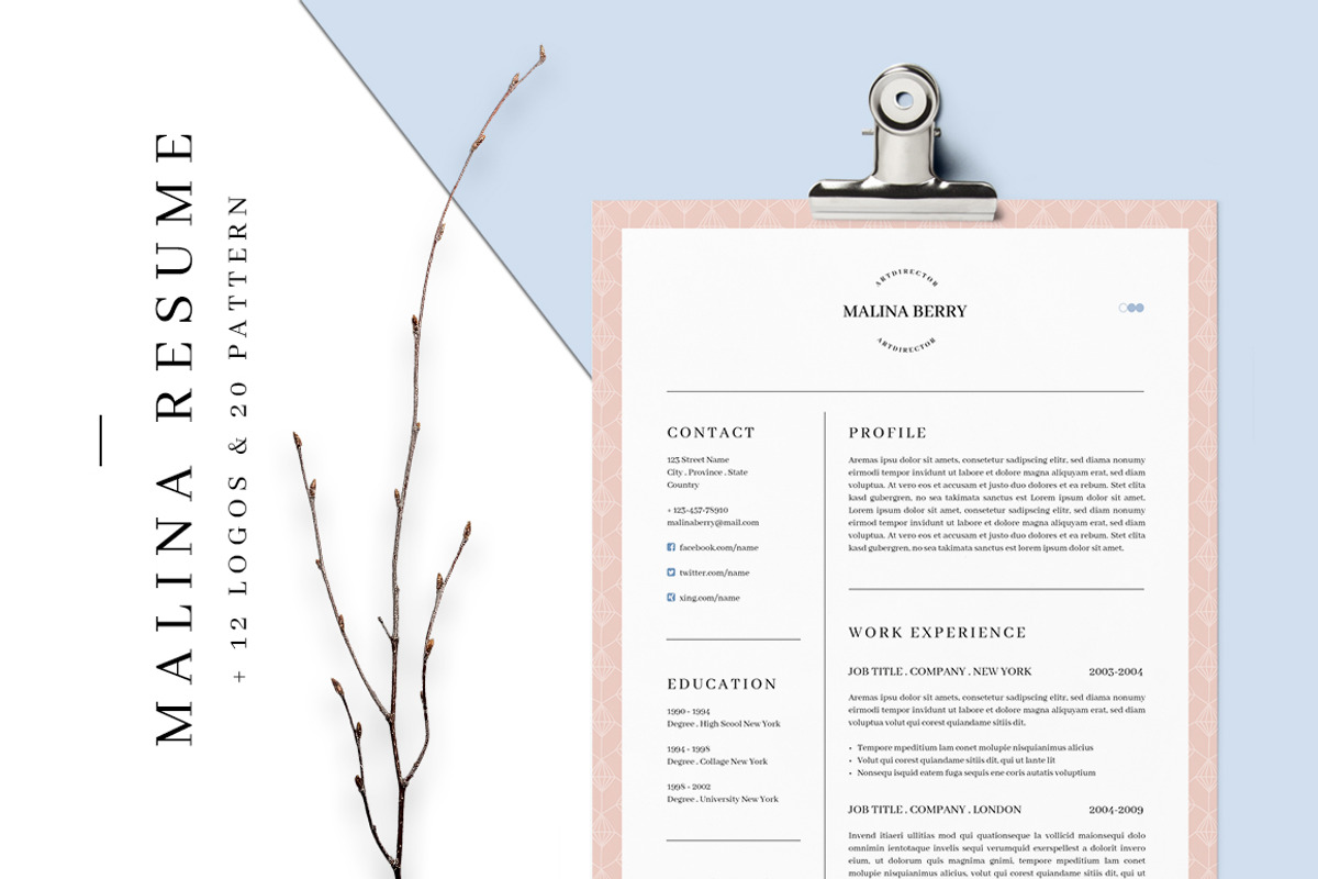 MALINA Branding Bundle – All in One, a Packaging Mockup by AgataCreate