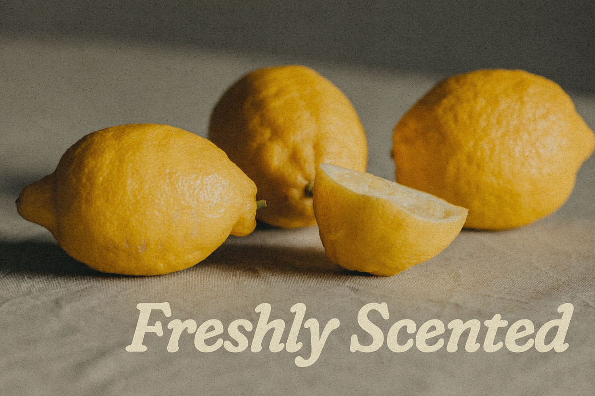 Janelle | Soft Serif Font, a Serif Font by Sombrero Craft (Photo 10 of 13)