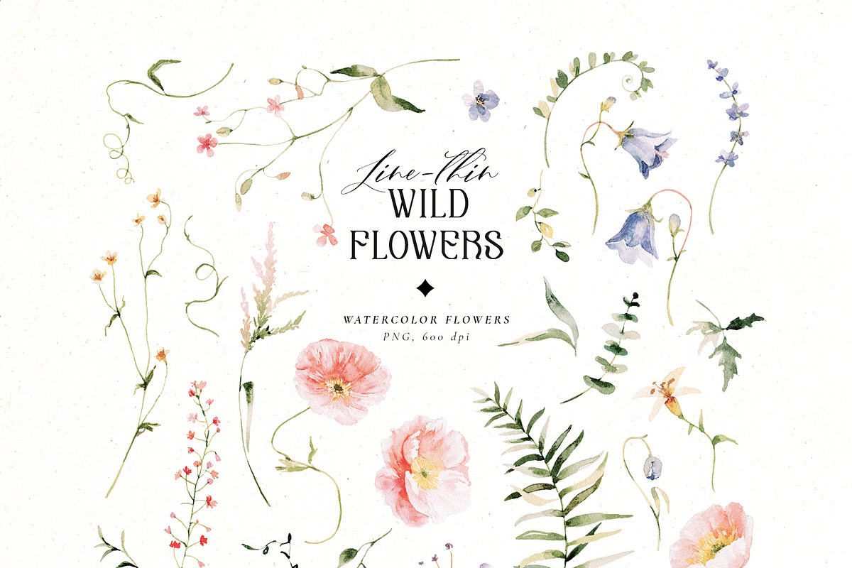 Line-thin watercolor wildflowers, a Decorative Illustration by Pamyatka Shop (Photo 13 of 16)