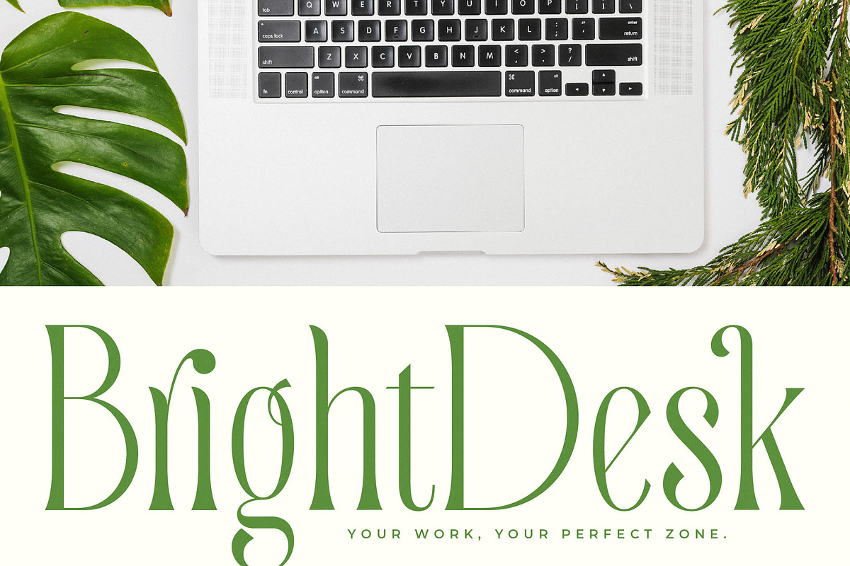Quiselle Elegant Display Serif, a Serif Font by timelesstype.co (Photo 7 of 20)