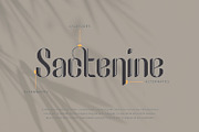 Reaghen - Retro Display Font, a Sans Serif Font by Zeatype (Thumbnail 9 of 11)