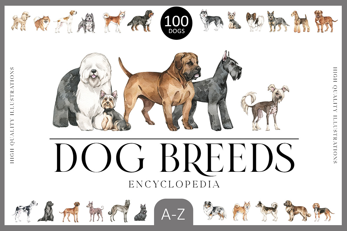 DOG BREEDS Encyclopedia, an Animal Illustration by Anastezia Luneva (Photo 1 of 13)
