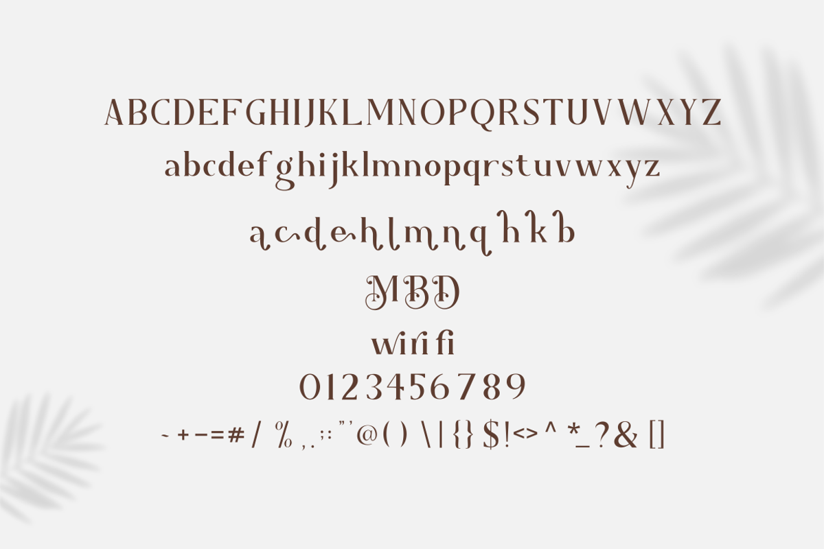 Dwiahe Momkic Font, a Serif Font by Onotype (Photo 4 of 5)