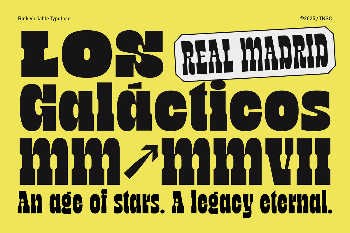 TNSC Bink - Slab Serif Display, a Slab Serif Font by The Native Saint Club (Photo 11 of 16)
