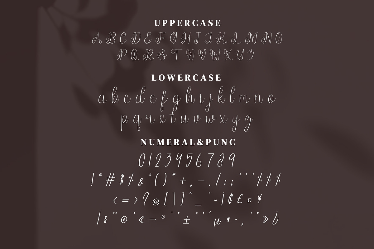 Endelly Script Fonts, a Script Font by mahstudios (Photo 12 of 15)