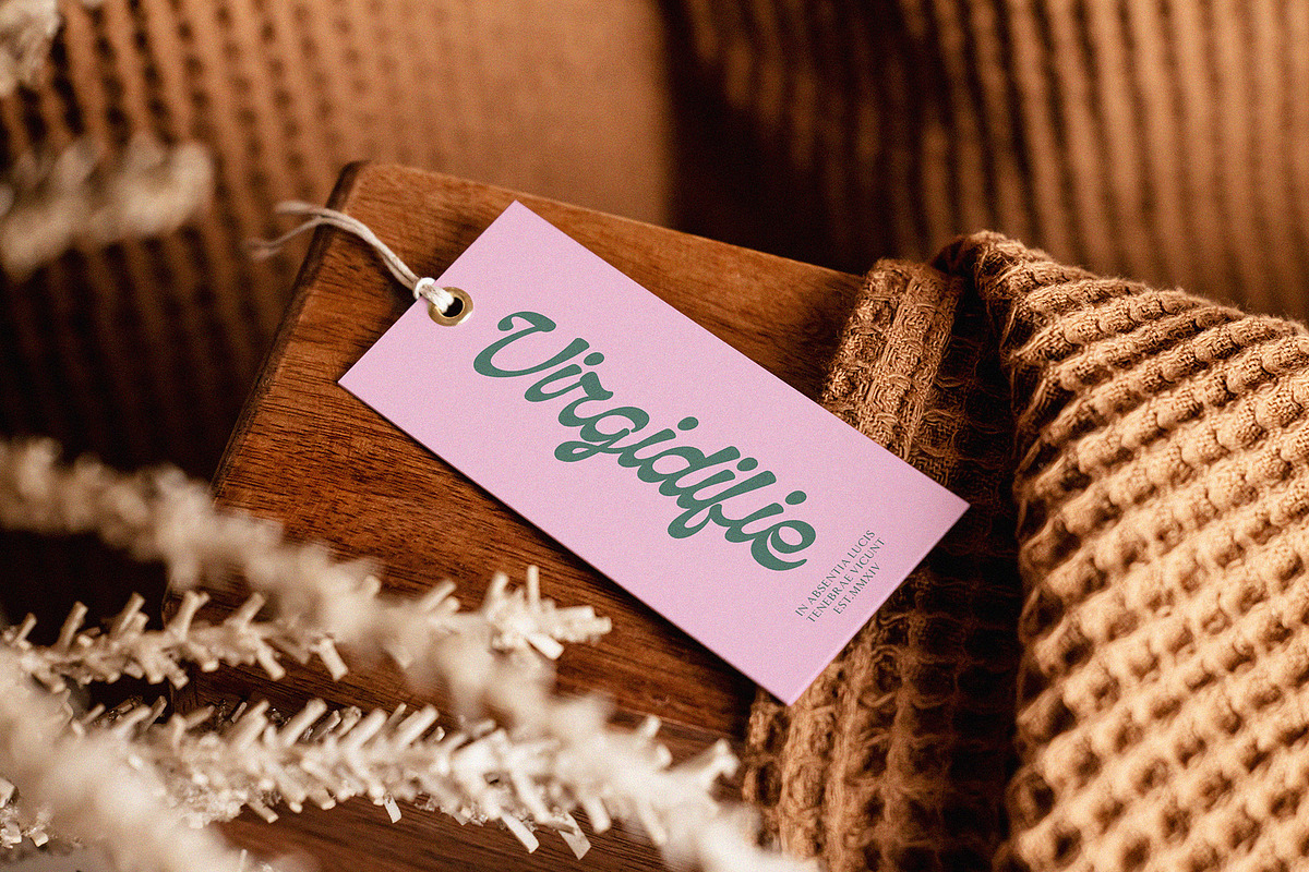 NCL Qanproy Woldriug, a Script Font by Enxyclo Studio (Photo 3 of 19)