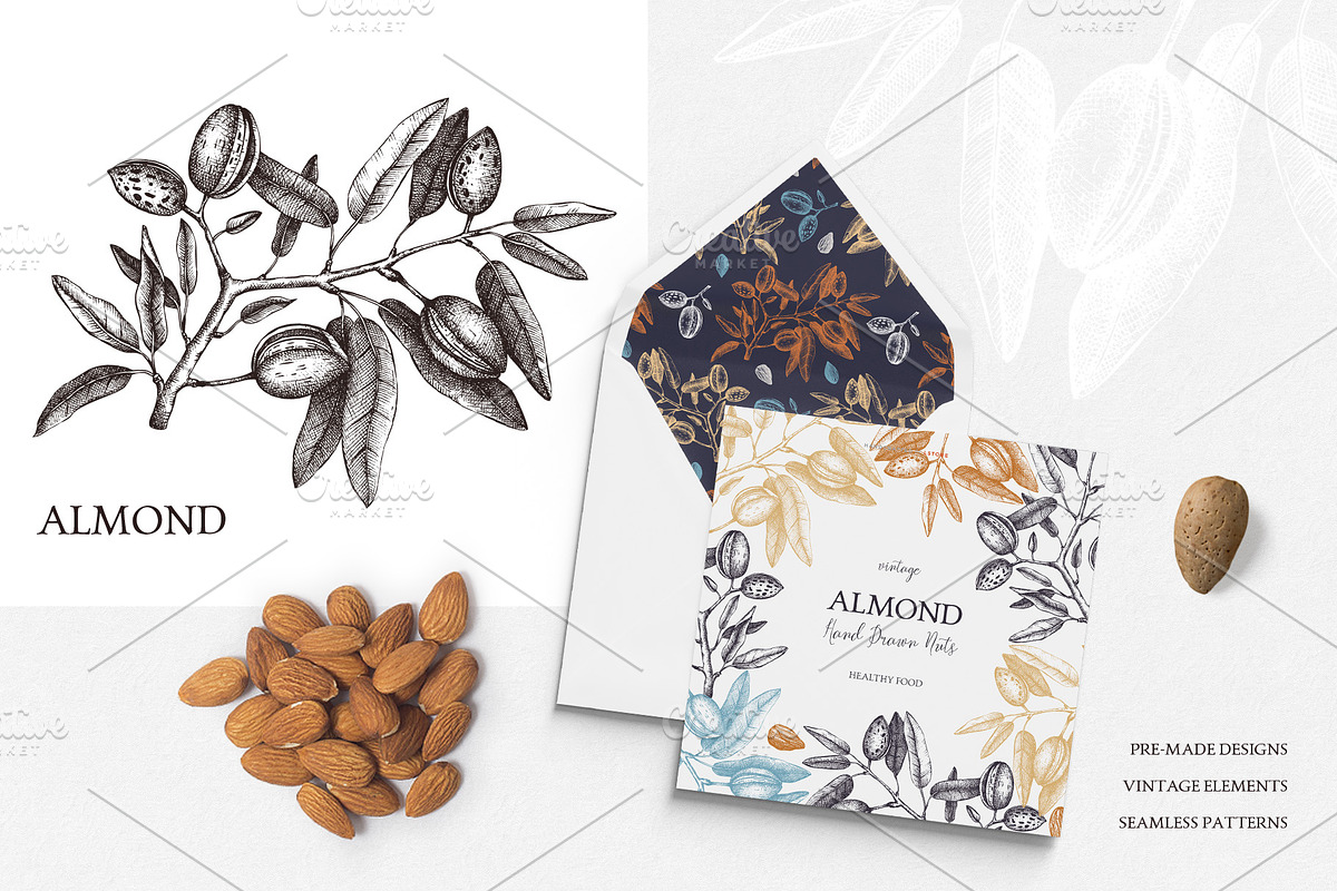 Hand-Drawn Nuts Sketches, a Food Illustration by Yevheniia (Photo 3 of 12)