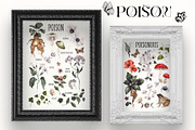 Poison. Watercolor and line art., an Object Illustration by ma_i_vi (Thumbnail 4 of 12)